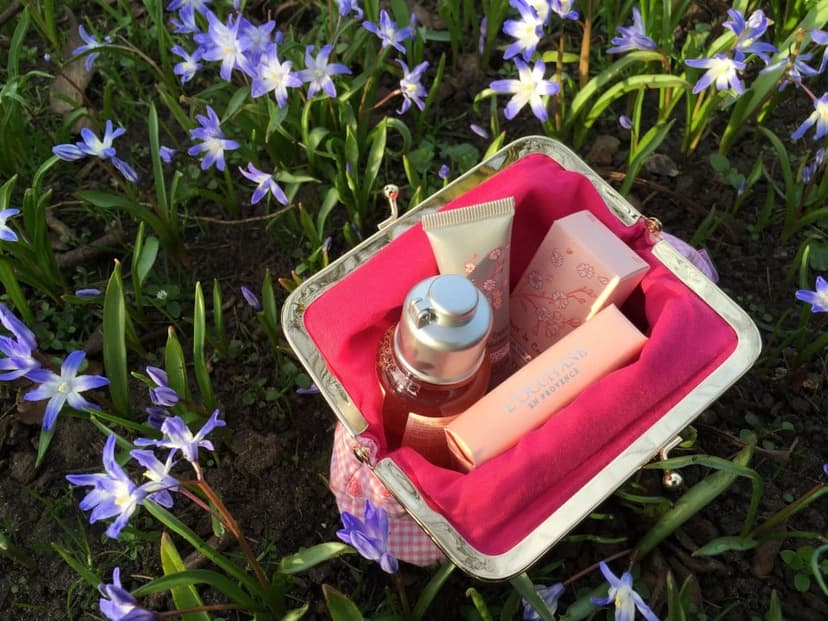 Dans mon jardin secret (Revue L’OCCITANE)